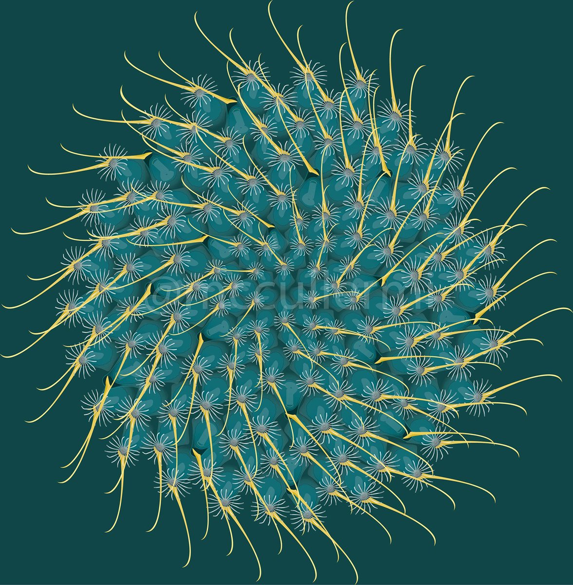 mccullermi's tweet photo. Bryozoans as art! Here's a cupuladriid (free-living) moss animal colony. Imagine the avicularian mandibles - the long gold thingies - moving to and fro, allowing the dome-shaped colony to shamble about in some semblance of a direction.
Illustrator'd all weekend making this... https://t.co/IAJpUd9r2Q