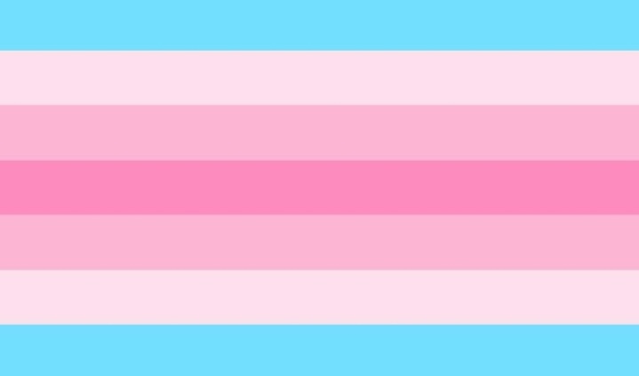 Transmasculinité/Transféminité :Désigne les personnes s'identifiant respectivement du côté masculin du spectre pour les personnes transmasculines et du côté féminin pour les personnes transféminines.Vaut pour les personnes binaires comme non binaire.