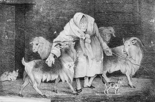  #ElizabethBalls c. 1761 One of  @LBofHavering most eccentric figures, of note for the company she kept. Known as  #TheGoatWomanofHaveringatteBower she lived with a herd of 50+ goats, a flock of sheep, a few cats & a dog who she lovingly called her dear children  #womenofhavering