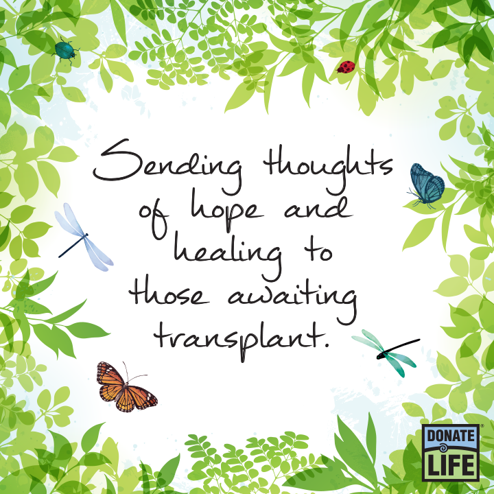 Help us show support for everyone currently waiting for a lifesaving transplant. Join us in writing a note of hope and healing in the comments below.  #DonateLife #DonateLifeMonth
