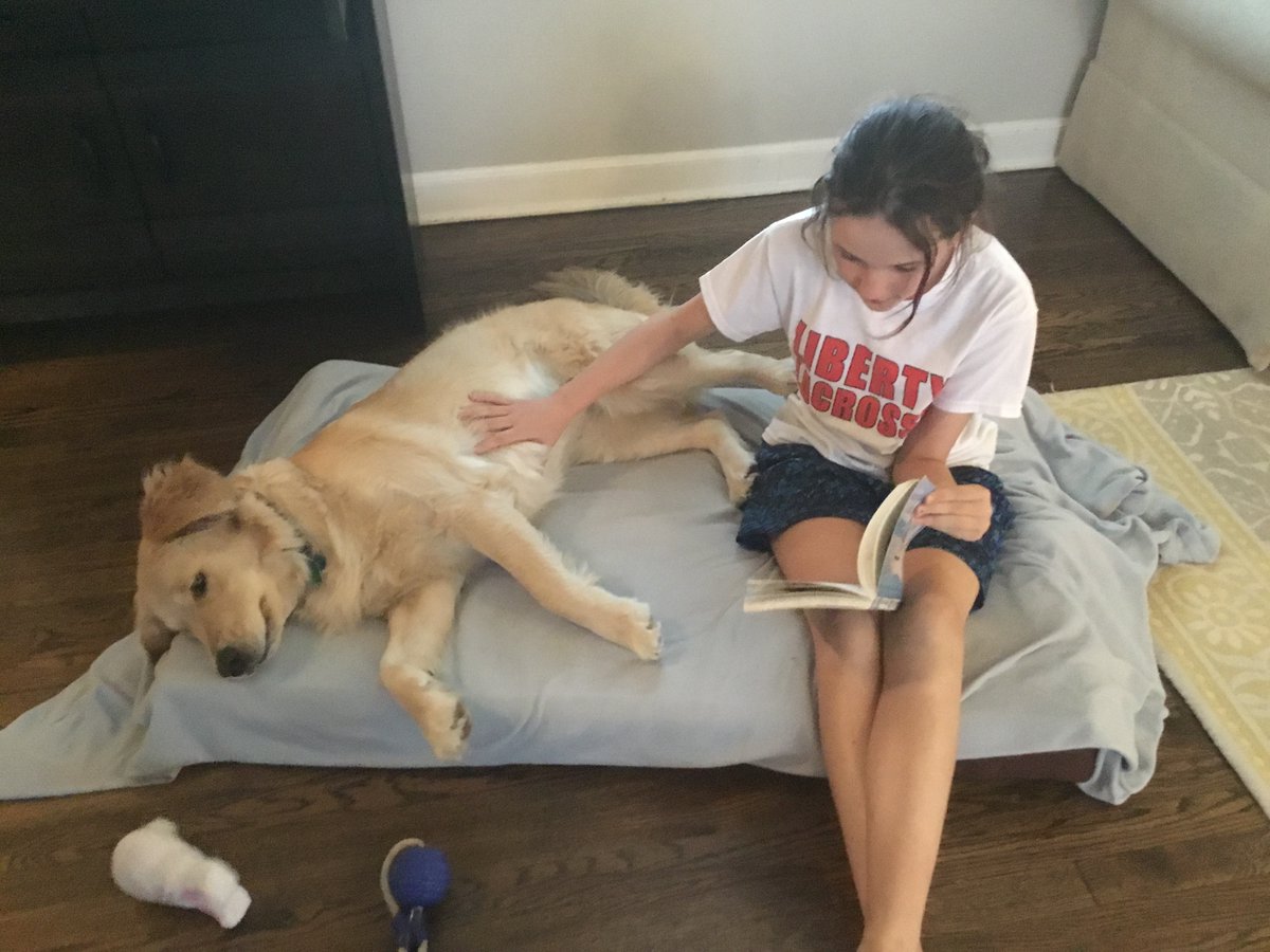 gwlswes's tweet image. A few more GWL Kids showing their school pride!  #gwlstrong #gwlspiritweek @GWLSchool @LibraryLadyGWL