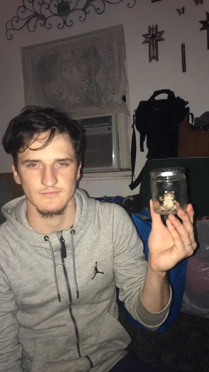 カメラに向かってピース！捕まっても余裕を見せてくるカエルwww