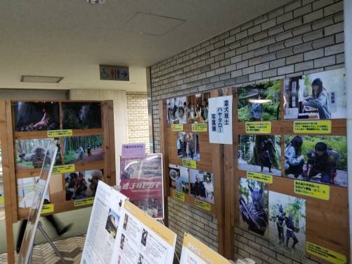 hayatar0's tweet photo. 【お知らせ】

『フィルムコミッション県庁ロビー展』がはじまりました！
ポスターに加え、写真展示もございます。

#霊犬戦士ハヤタロー https://t.co/pm1g2zi0It