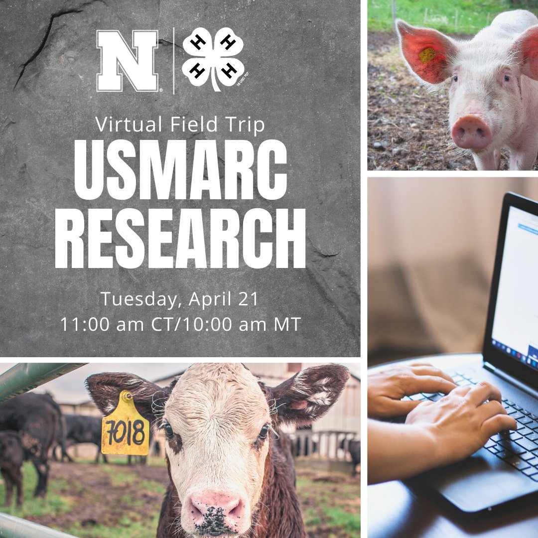 Join us as we go on-site to learn about USMARC Research! 

Register at 4h.unl.edu/virtual-field-….

#NE4H #NebExt #4H #InspireKidsToDo #VirtualLearning #eLearning
