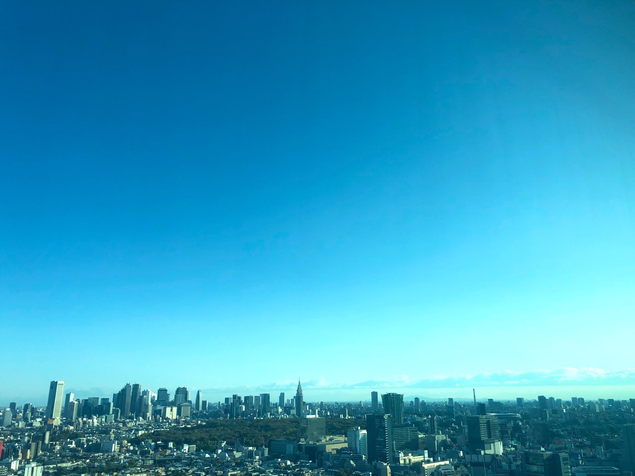 見事な創造力 東京の空 その他