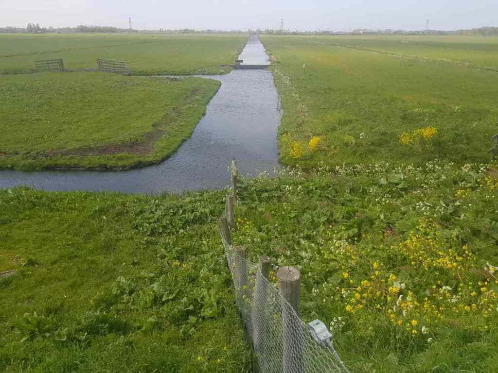 miochat's tweet image. Een rondje om de kerk (van Overschie) igal.nl/2020/04/13/een…