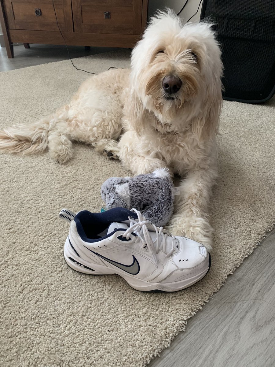 Monarch SZN tweet media