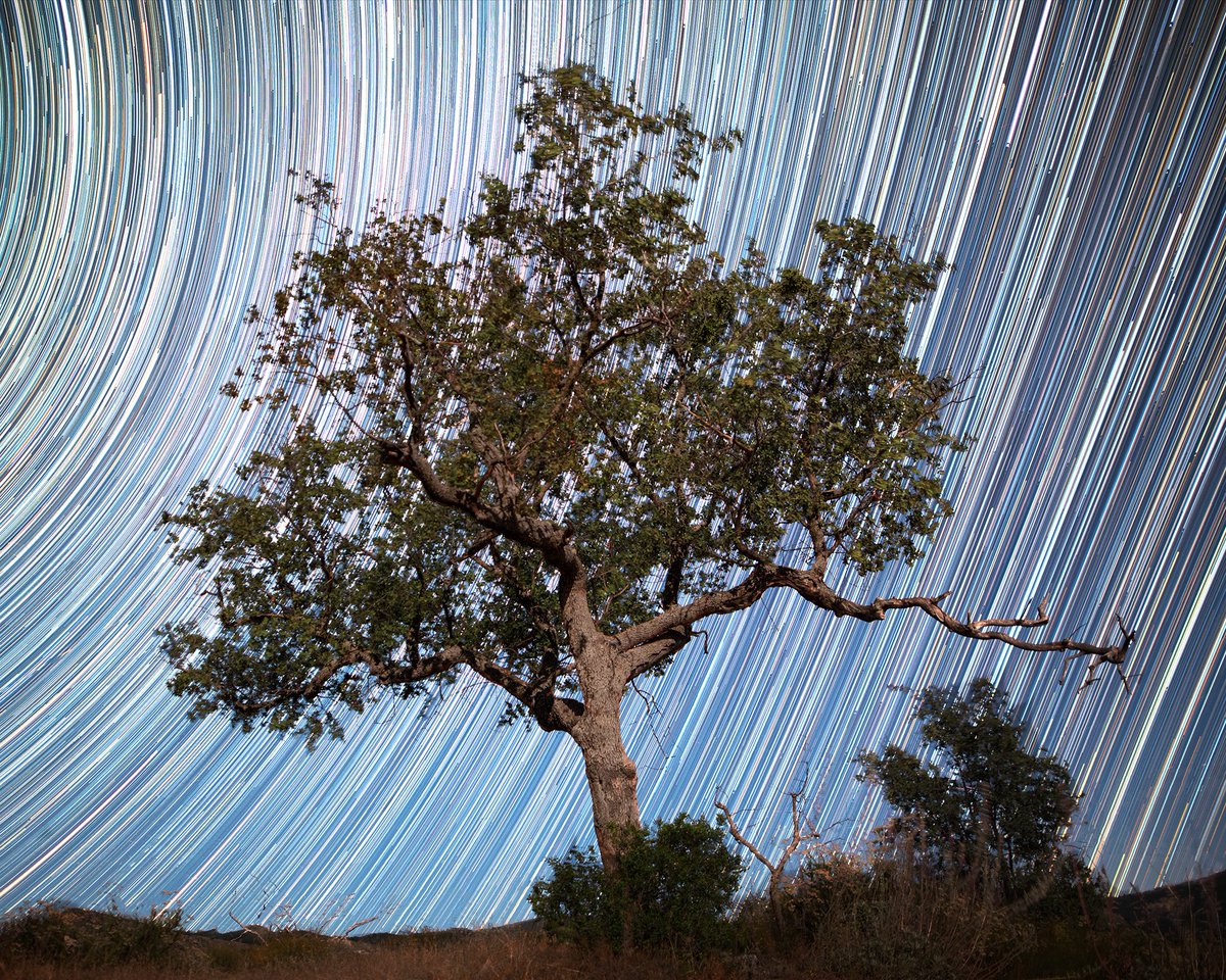 This image is made up of 730 long exposures to show movement as the Earth rotates through space.In addition to capturing the stars, I also captured A LOT of air traffic that I needed to remove. See all that below!D800E -  @Sigma_Photo 20 1.4 ART @Dell XPS 13 2-in-1 7390