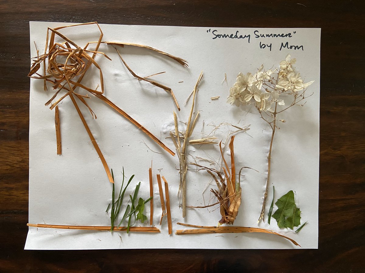 sabrwn's tweet photo. Thanks to our DCG elementary art teachers for the nature art lesson today!! @DCGHeritageElem @NorthRidgeArt #dcgart #dcgexcellence https://t.co/mRJHvm99nY