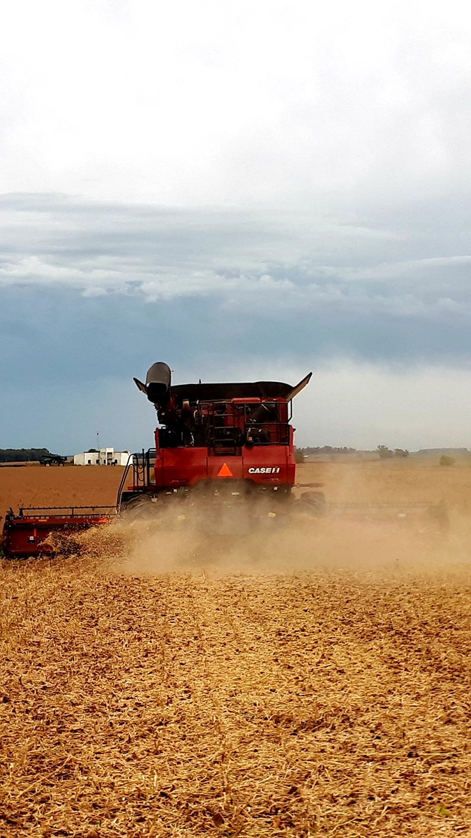 Javier Figares tweet media