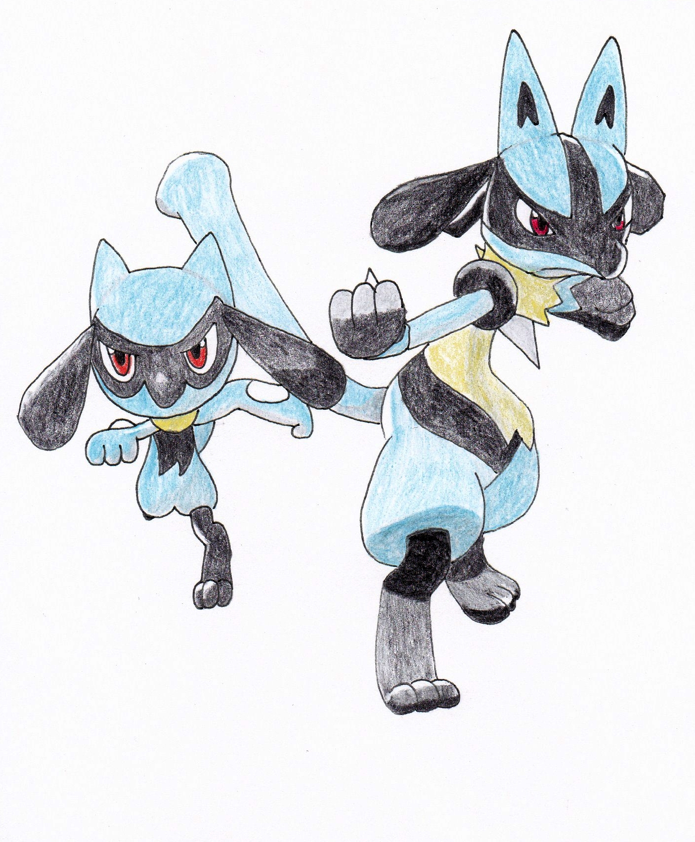ポケp 冠雪原クリア リオルとルカリオ ポケモン リオル ルカリオ ポケp 冠雪原クリア リオルとルカリオ ポケモン リオル ルカリオ