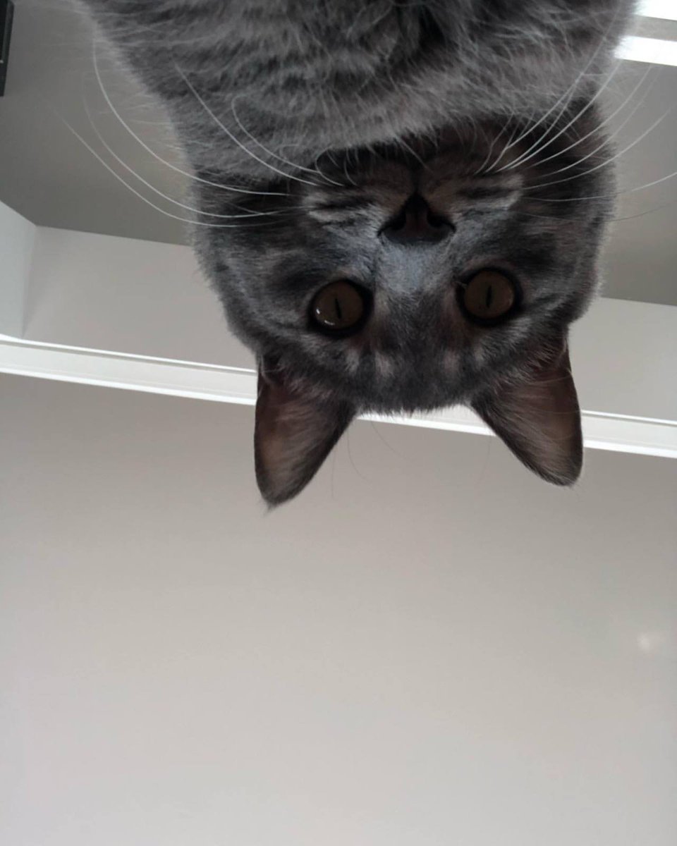 S8SHIFrance's tweet photo. [📸] #SOSHIPICS | 13.04.20 ➡ SUNSTAGRAM

❝ Maman, tu as bien dormi ? #NouvelAngle #AngleMatinal #DeboutSoldat #DoublesMentonsHéréditaires #DoingDoing ❞

─ https://t.co/HKNe7YVurG https://t.co/PMXu0mSh9l