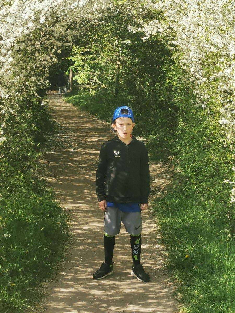 freddie_conlan's tweet photo. This afternoon I went for a walk with my mummy , daddy and brother TC. We went exploring in Nonsuch Park climbing trees, running and practising my catching for cricket
#DownsendSchool
#staysafe #SocialDistancing https://t.co/hIA0S4IO4D