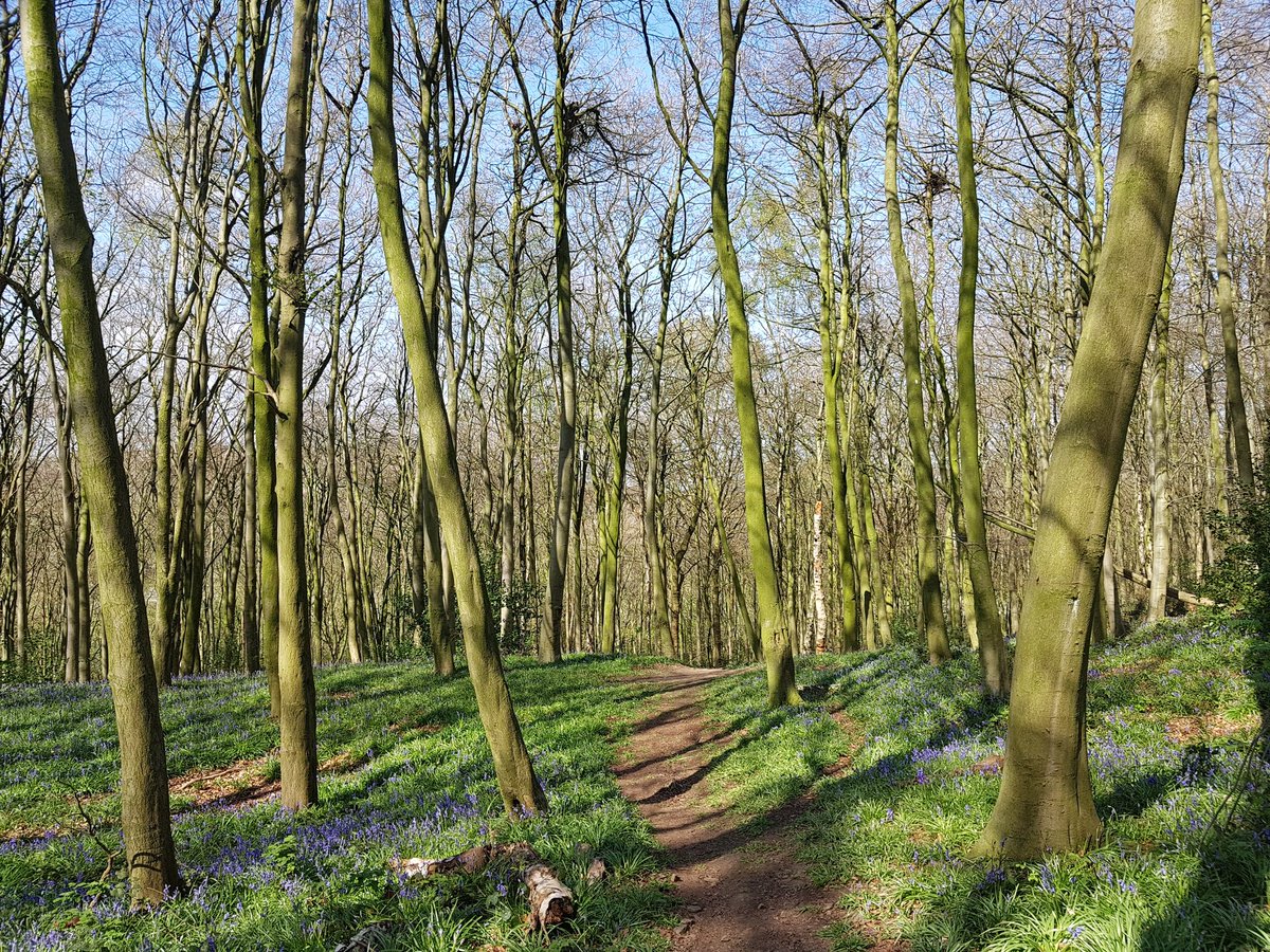 Can't beat a spring time trail to pick you up