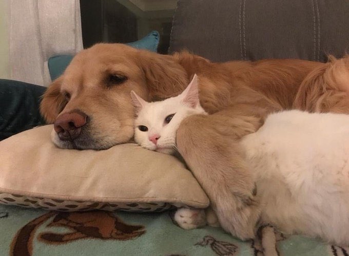 ❤️