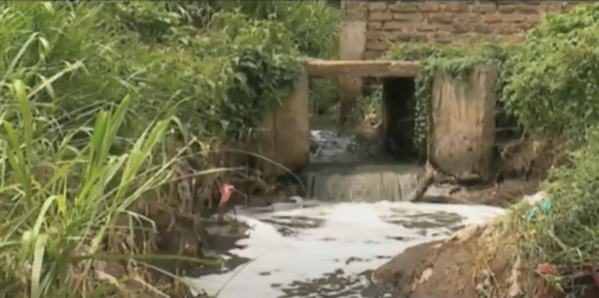 ntvkenya's tweet photo. #ToxicFlow: Ministry of environment, NEMA warns against effluent discharge into rivers, water bodies
https://t.co/suIgqBzmFo https://t.co/8iDcKEUV2W