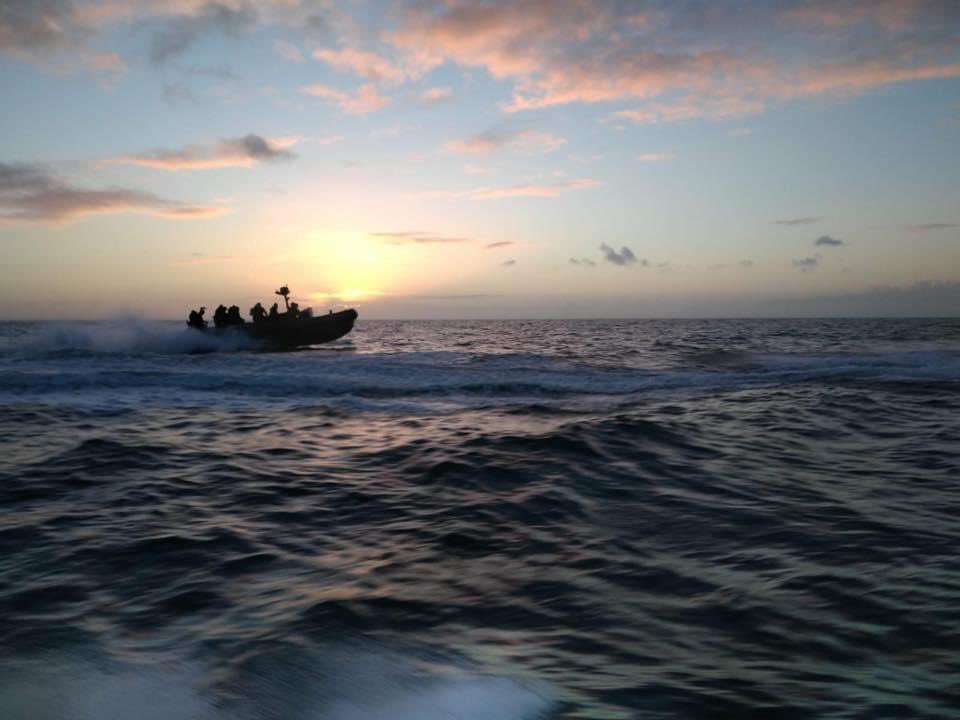 AllaisF's tweet photo. Gign https://t.co/UxXBtNbMcZ