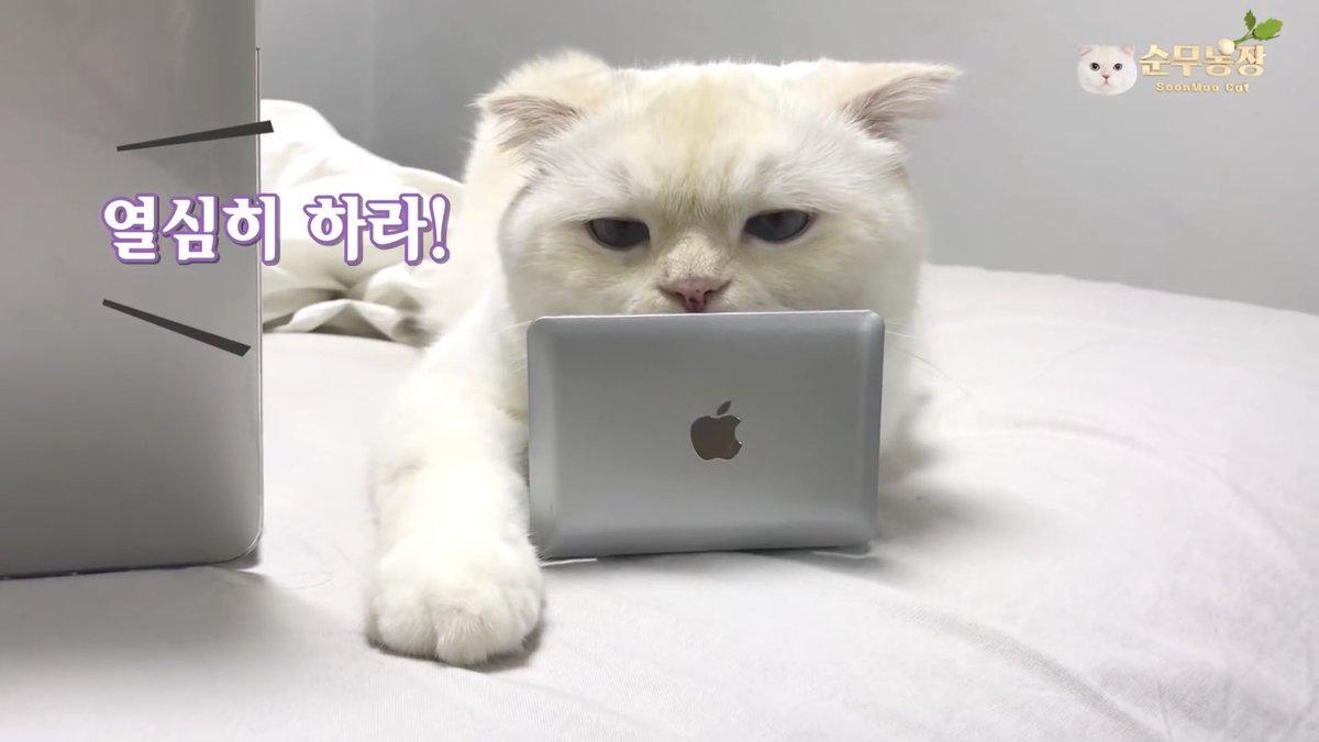 ju tweet media
