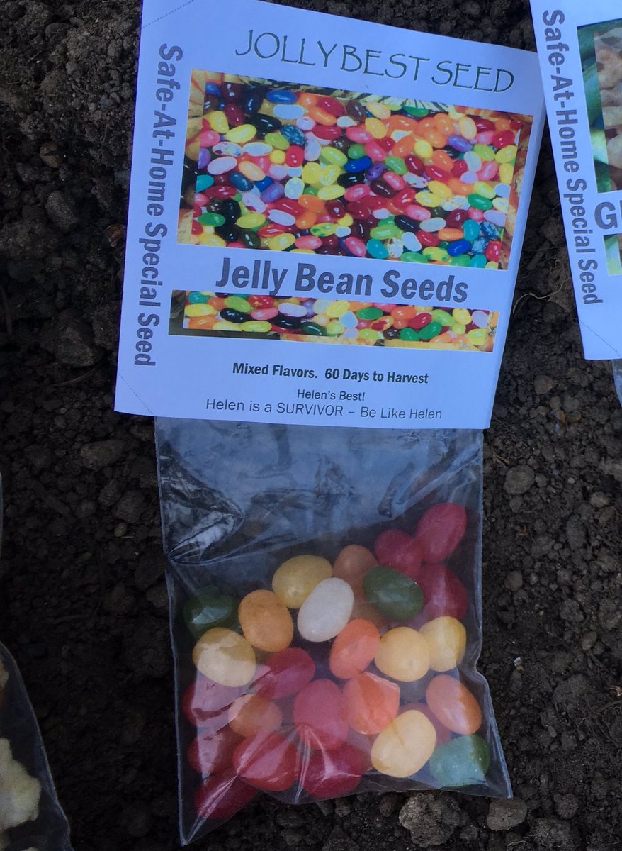 EastCountyRun's tweet photo. March 44th. 98-year-old Helen is in her garden today; what she plants is a balance between nutritious and tasty. With age, comes wisdom; Helen adapts her seed selection to reflect food appropriate for her needs. Helen is a SURVIVOR.  Be like Helen https://t.co/R99jNyVZuM