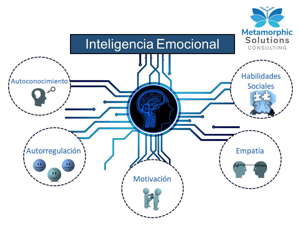 MetamorphicSol's tweet image. En Metamorphic Solutions queremos que examines la importancia de la faceta emocional como elemento clave en la inteligencia.
#MetamorphicSolutions
#inteligenciaemocional