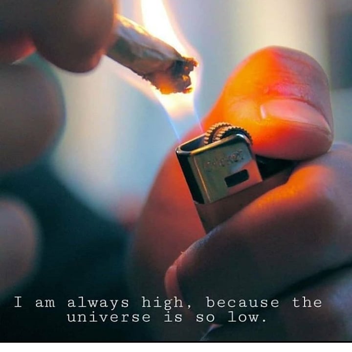 420partypeople's tweet photo. #gethigh #stayhigh #smokepot #smokeweed #marijuana #mmj #maryjane #mysweetleaf #420partypeople #420partypeople2 #weedfeed #weedsmoker #weedlife #cannabis #cbd #stoner #stonernation #stonerfam #sativa #indica #ganjahol #ganja #hightimes #highaf $VRUS https://t.co/d44JbJkw6M