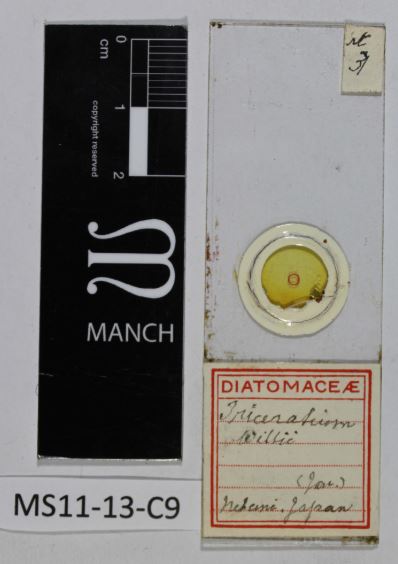 Has anyone got any ideas for this diatom collecting locality in Japan? Any #handwriting suggestions welcomed! #herbtranslate #CuratorialLife