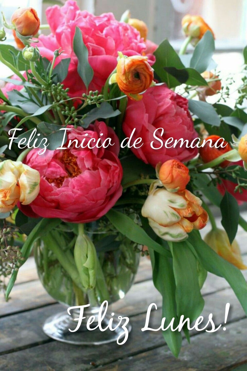 Andy on Twitter: "Todo lo que describes es alimento para el alma,  pinceladas de alegría que nos levantan y nos sanan.. Muy buen día Soledad!  ????… https://t.co/E7Oo4pBdVG"