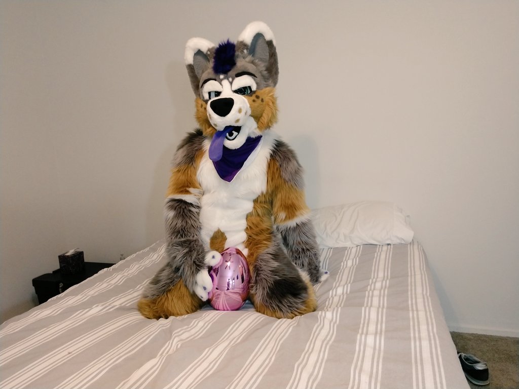 Bazo McLoafin' tweet media