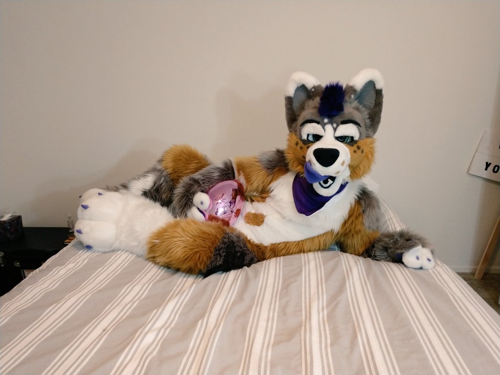 Bazo McLoafin' tweet media