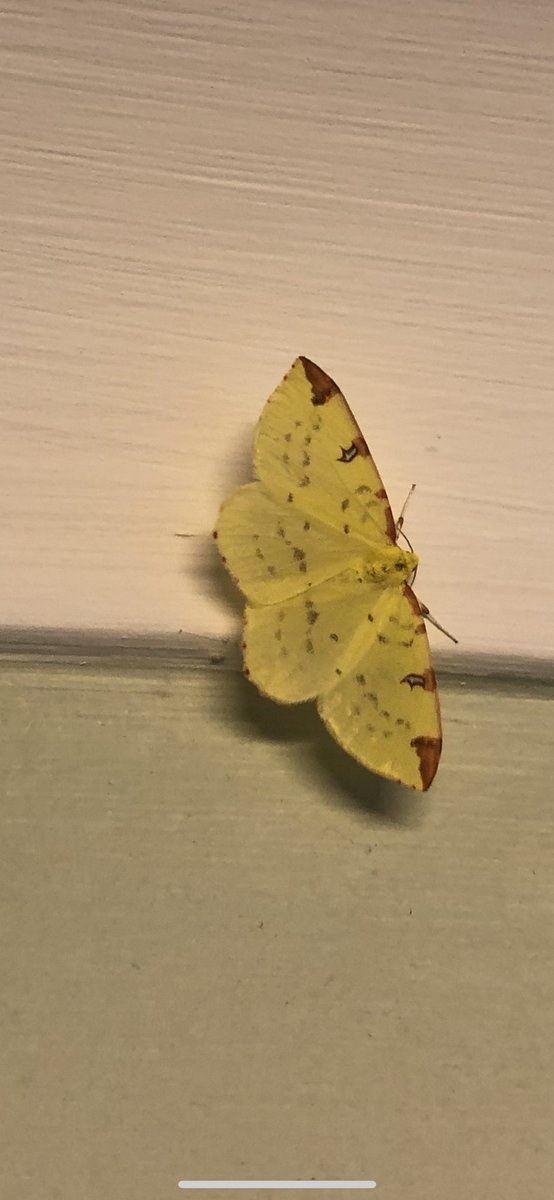 Mike Bruford tweet media