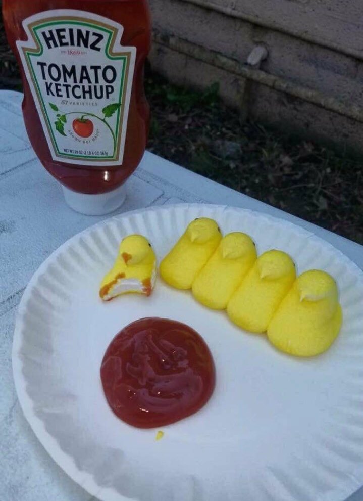 chaselyons's tweet photo. these easter leftovers about to go crazy https://t.co/1Smhfjyn3F
