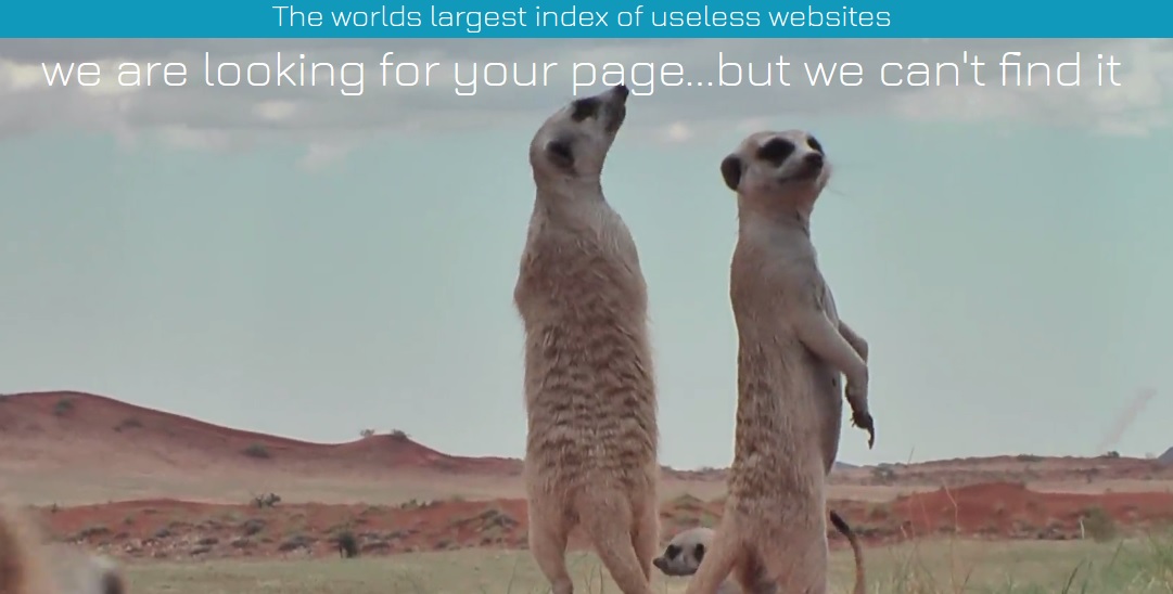 TheUselessWebIndex tweet media