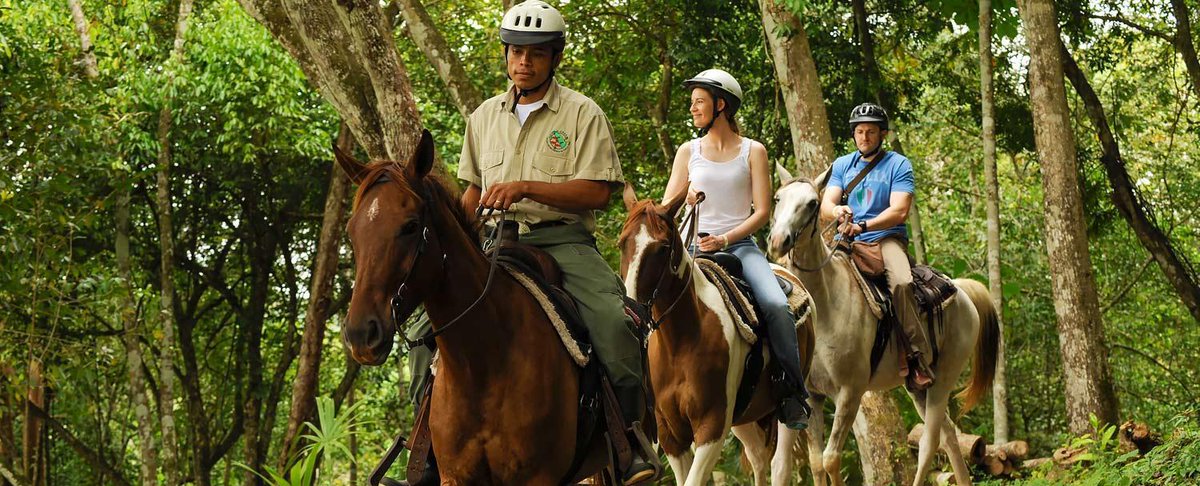 Lost World Adventure tweet media