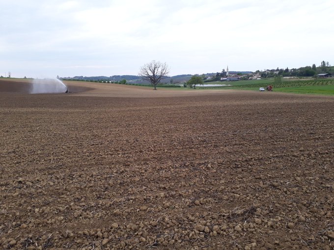 Voir l'image sur Twitter