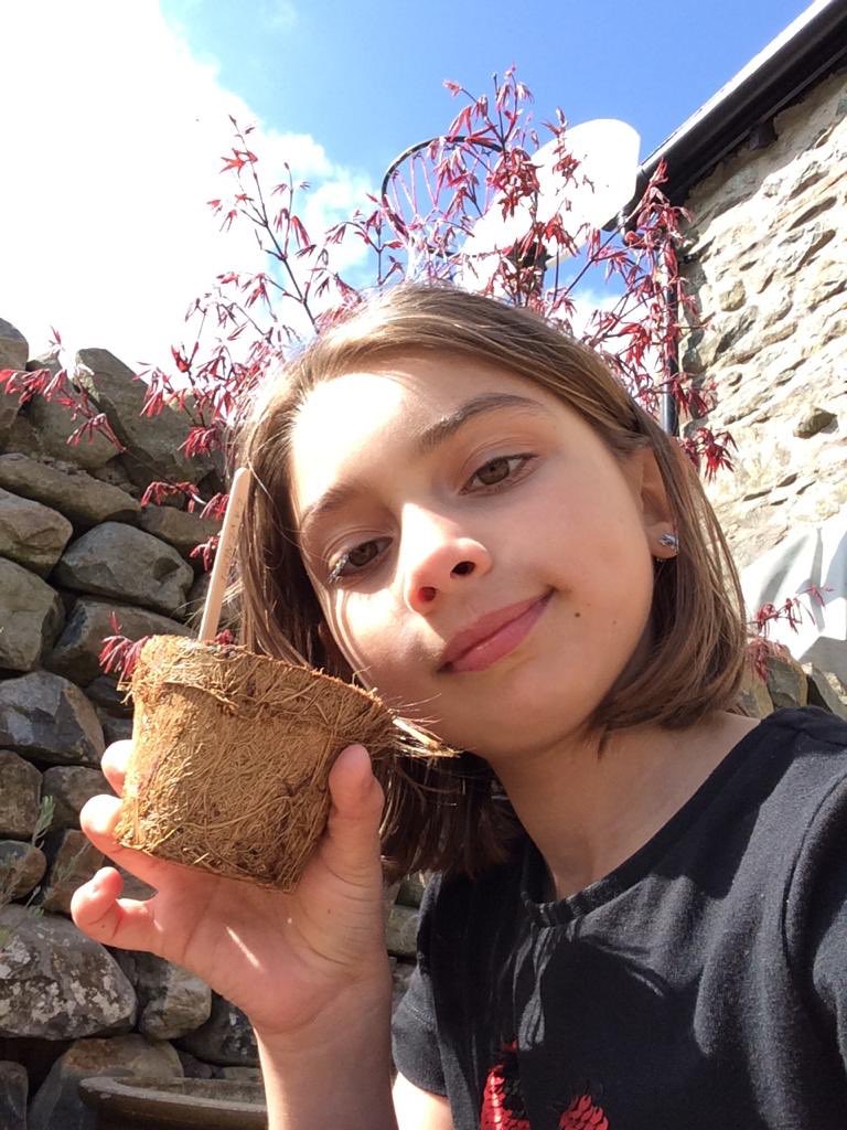 StephiCaro85's tweet photo. Emily planting strawberries 🍓 and cucumbers 🥒 today outside #sedbergh_prep #sedberghathome #greenfingers https://t.co/vXeDuX1QXA