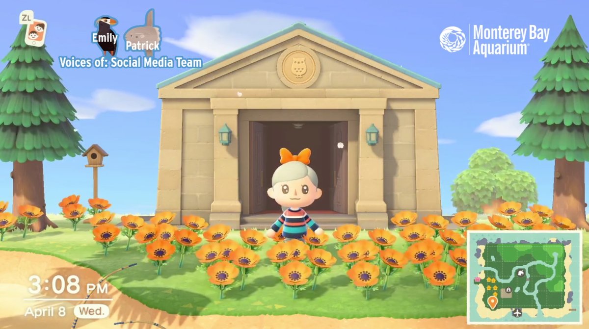 The Monterey Bay Aquarium's Animal Crossing
