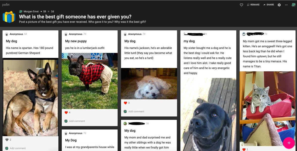 MissErnst17's tweet photo. I'm noticing a theme in the #Padlet from last week. #DistanceLearning 🐶🐱 https://t.co/r4Ys8zhqZF