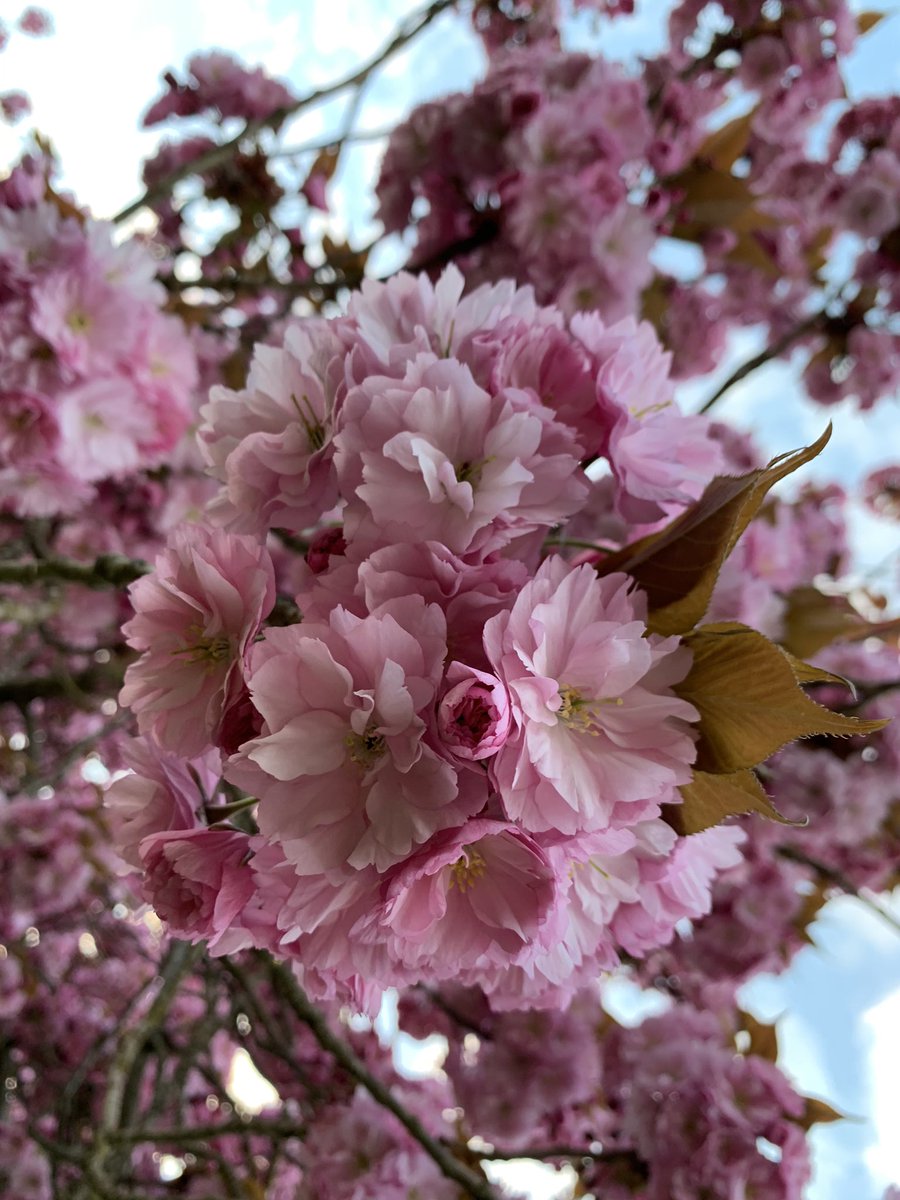 Heather Whitaker tweet media