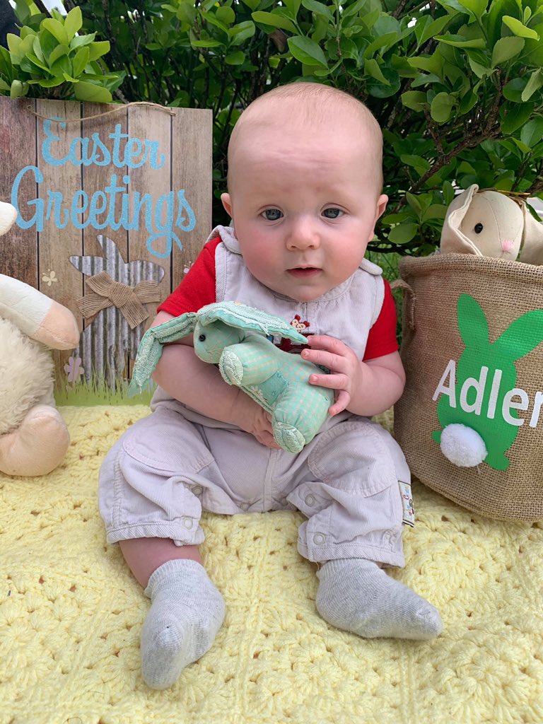 kiralane14's tweet photo. My nephew is literally the cutest🐰💛 https://t.co/6gX26vfUtX
