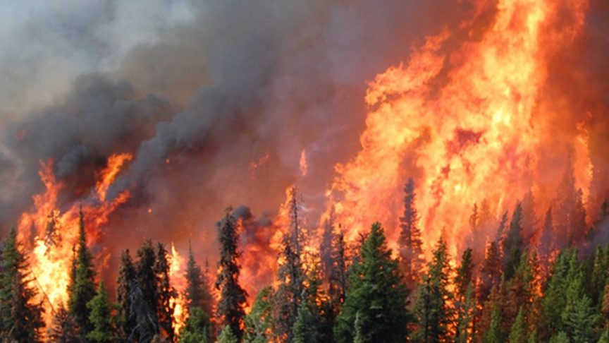 SaxonKrieg's tweet photo. Avanza un incendio gigantesco hacia los depósitos nucleares de #Chernobyl #chernobylfire en Ucrania.
2 km de la zona roja.

Señores y señoras, hay alguna guerra que no nos enteramos?. 
*Sí https://t.co/Bj3G6NAjwn