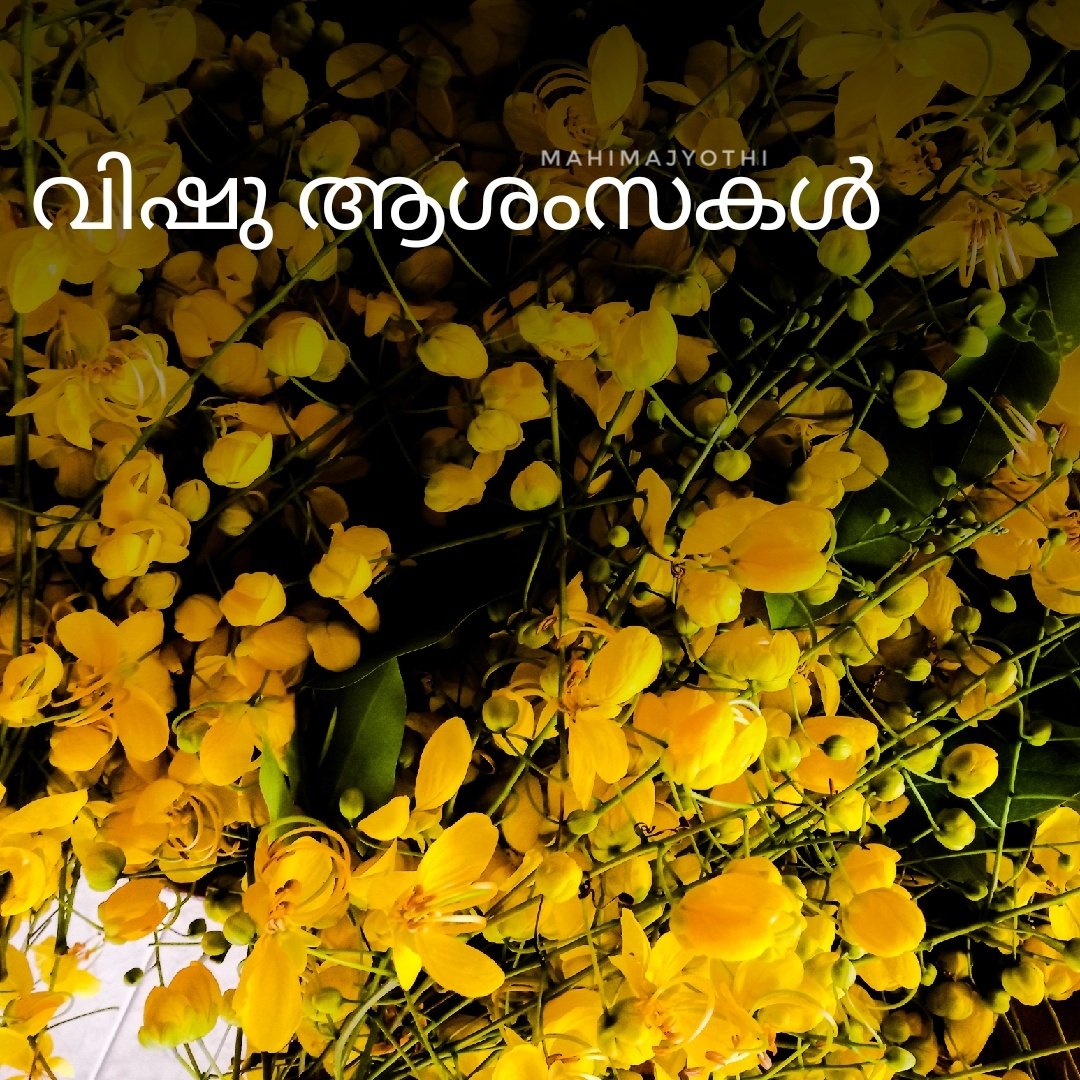 ᴍᴀʜɪᴍᴀ ᴊʏᴏᴛʜɪ on Twitter: