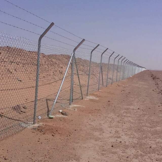 My9ujwjP5OOViPy's tweet image. مقاول توريد الشبوك وتركيبها وزراعة النخيل لتواصل ج٠٥٧٨٠٨٠٠١٦