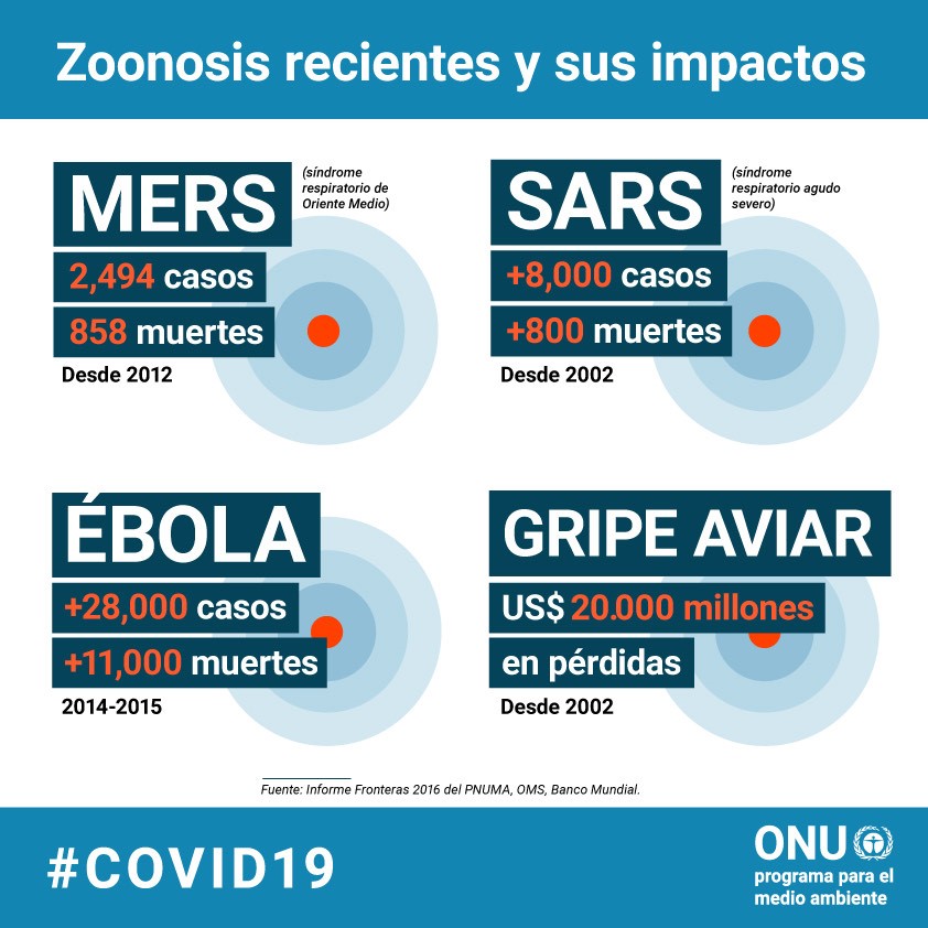 ONU_es's tweet photo. El 75% de todas las enfermedades infecciosas emergentes son de origen animal y están estrechamente vinculadas con la degradación del medioambiente.

@unep_espanol explica el impacto en las personas y las econonomías: https://t.co/1qoC6EZW6L #COVID19 https://t.co/XvRs1wZQGX
