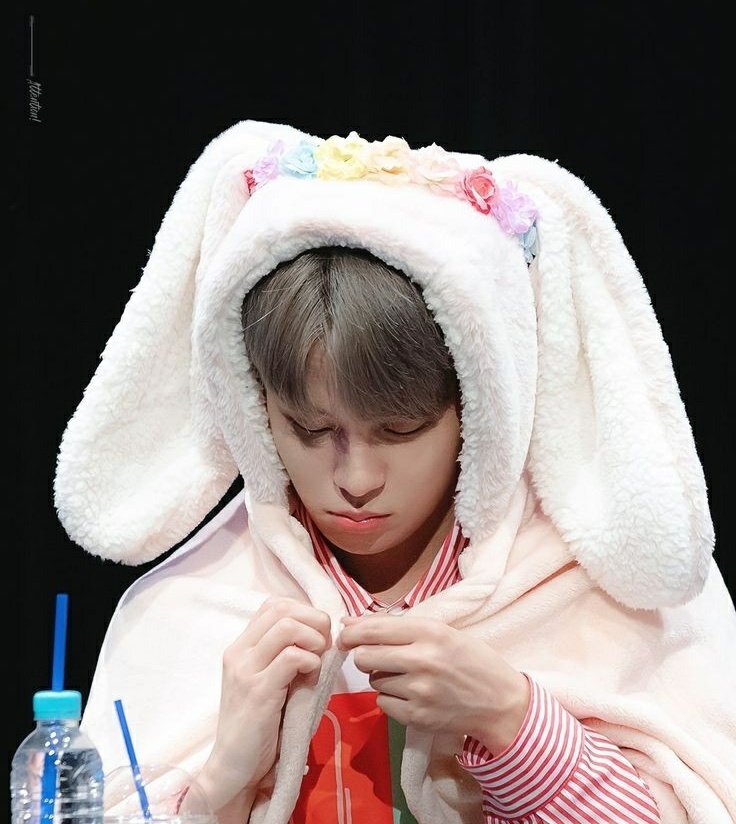 jongho as an innocent bunny• how did he even get here• didn't ask for any of this• cry in bunny