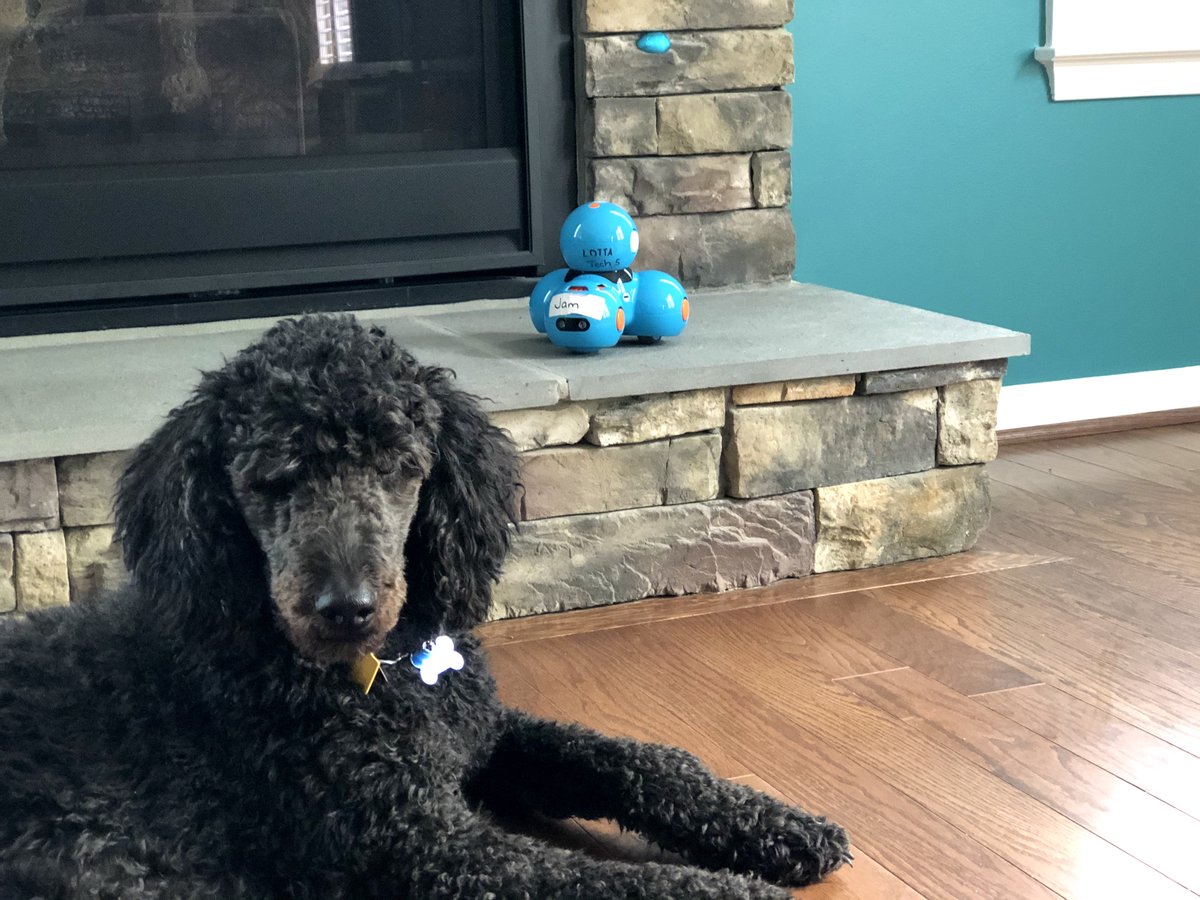 lottatech_net's tweet photo. Howie and Jam made a great team! They worked together to find their egg. 🐰🥚 #teamwork #leadership #teamplayer #egghunt #technology #kids #lottatech #teachers https://t.co/Ij3HOrr6Ti
