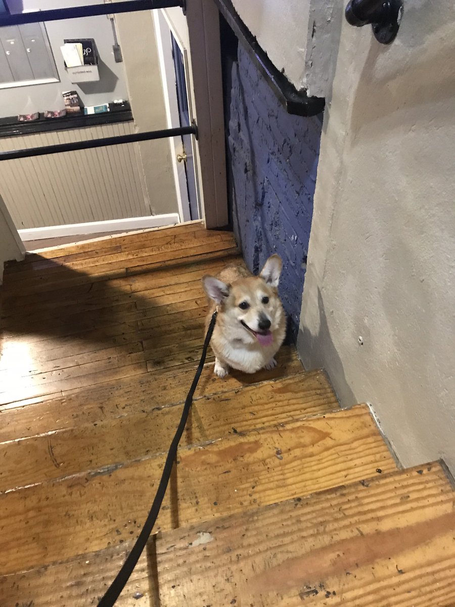 He has a complicated relationship with stairs