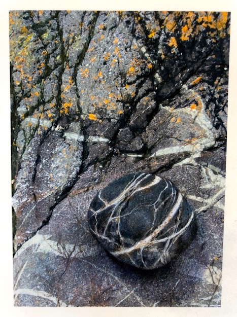 The Border Readers tweet media