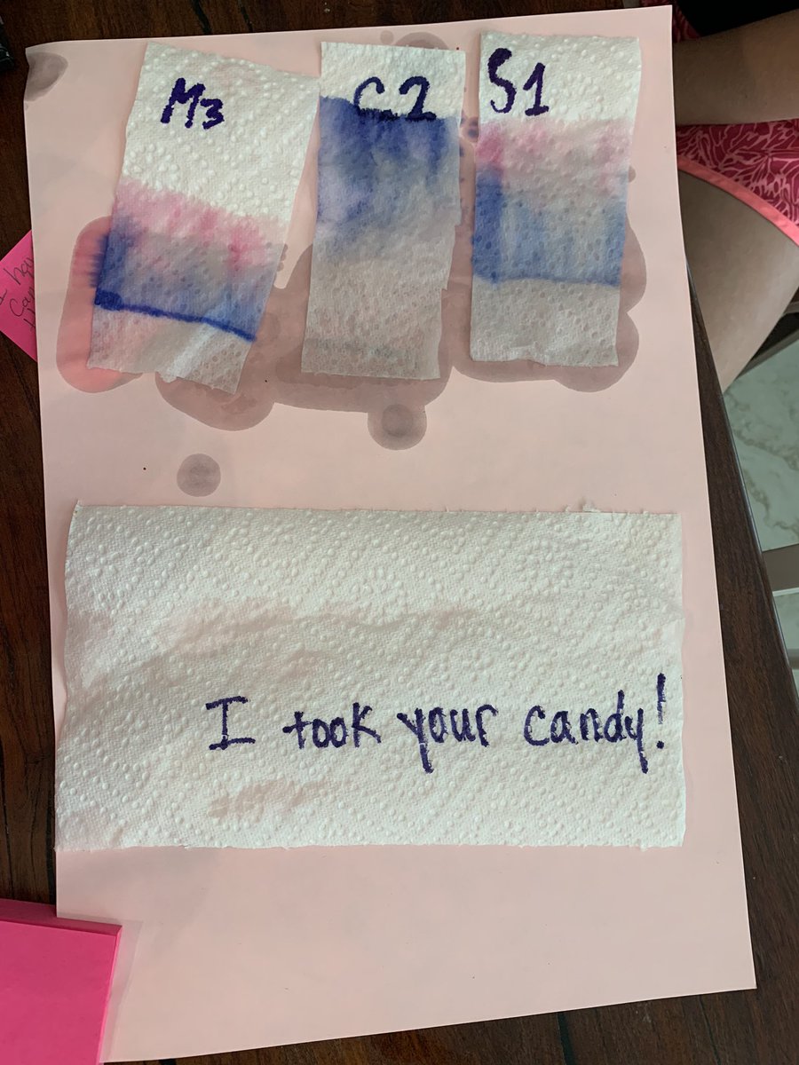 Laclaborn's tweet photo. I may have gotten totally excited about the Chromatagraphy GT lesson today w/my 4th grader! Thanks @MrsAbingColeGT for taking the time to teach our GT kiddos through distance learning. CSI I took the candy! @NISDCole #thecoleway https://t.co/TCqHBgBSU4