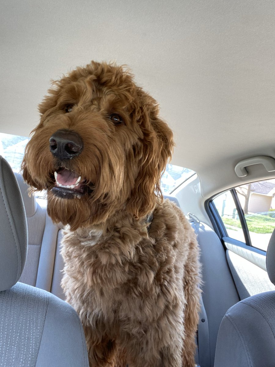 <a href="/ElizabethRyberg/">Elizabeth Ryberg</a> <a href="/RweRams/">Ridgeway Elementary</a> RWE friends, Spending time with your pet, walks, nature, rides and naps are all great ways to take good care of yourself. #enjoyeveryday#RWERams 
#healthy#self-care