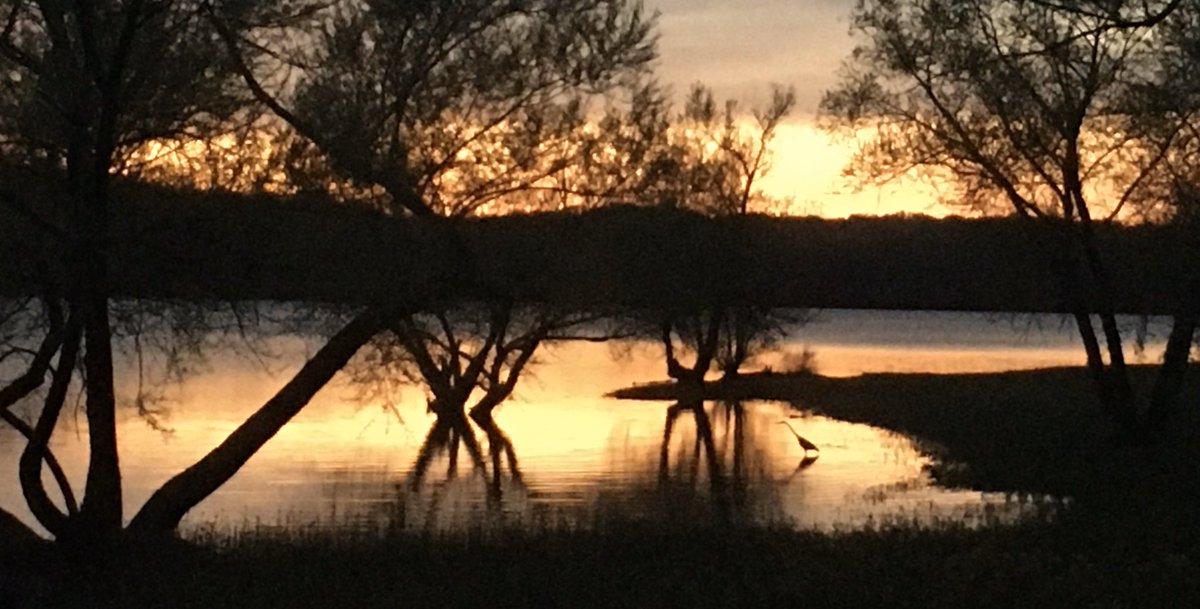 cate_easmunt's tweet photo. A lovely sunset 2 nights ago...I never tire of this sight. https://t.co/80UgWrlEpg